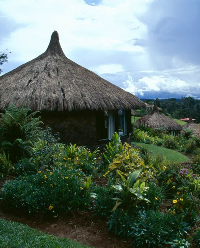 A collection of homes with thatched roofs in the Eastern Highlands Province.