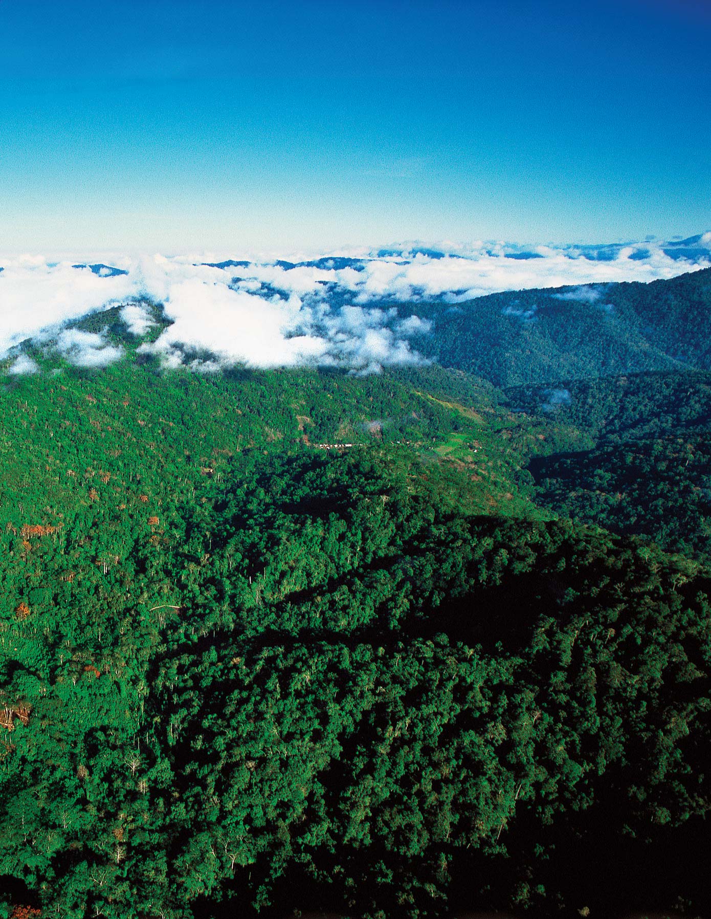 An arial view of the Kokoda Track in the Owen Stanley Range.